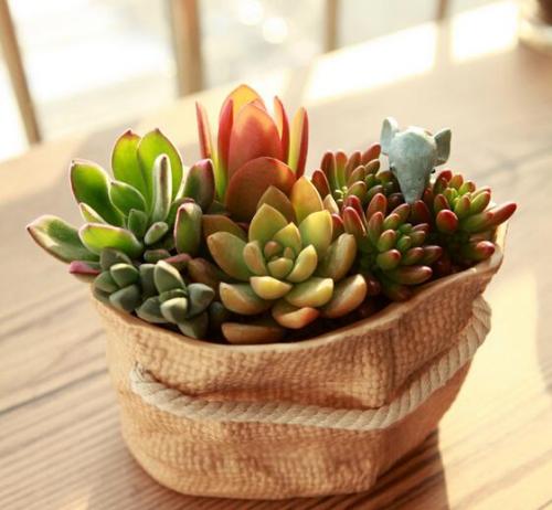 㽭:ɧŵ绰ռ 110ܽӾĳΪЧ