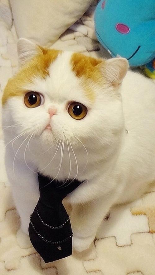 ȫIPOʶӽʷλ гǹĭ